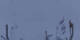 Crans-Montana 05.05.2025 19:34