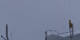 Crans-Montana 05.05.2025 19:34