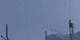 Crans-Montana 08.05.2025 19:29