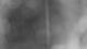 Henne 27.10.2026 19:34