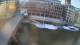 Hambourg 10.05.2025 19:49