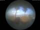 Alba Adriatica 04.07.2025 19:50