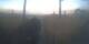 Alba Adriatica 29.04.2025 19:50