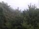 Herdecke 05.07.2025 19:50