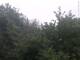 Herdecke 06.07.2025 19:50
