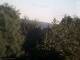 Herdecke 10.05.2025 19:50