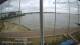 Brightlingsea 05.07.2025 19:51