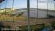 Brightlingsea 14.06.2025 19:51