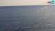 Piran 06.07.2025 19:51