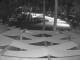 Punta Cana 29.04.2025 19:52