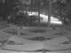 Punta Cana 29.04.2025 19:52