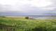 Laukvik 14.06.2025 19:52