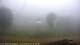 Nellysford, Virginia 06.07.2025 19:48