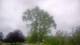 Harriman, New York 14.06.2025 19:51