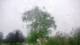 Harriman, New York 01.07.2025 19:51