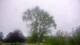 Harriman, New York 08.06.2025 19:51