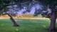 Camp Verde, Texas 14.06.2025 19:54