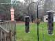 Central Lake, Michigan 30.04.2025 20:56