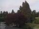 Son en Breugel 14.06.2025 20:46