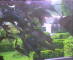 Flachau (Salzburg) 08.06.2025 20:52