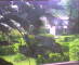 Flachau (Salzbourg) 14.06.2025 20:52