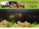 Spitz (Wachau) 03.05.2025 20:54