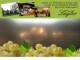 Spitz (Wachau) 29.04.2025 20:54