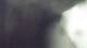 Buchanan, Virginia 29.04.2025 20:58