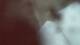 Buchanan, Virginia 29.06.2025 20:58