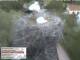 Aurach 08.05.2025 20:54