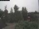 Stocka 06.07.2025 20:54