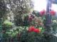 Cuxhaven 03.07.2025 20:54