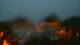 Altoona, Pennsylvania 30.04.2025 20:03