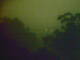 Linley Point 12.06.2025 20:54