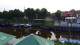 Carolinensiel-Harlesiel 11.05.2025 20:46