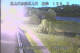 Babacho 14.06.2025 20:55