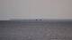 Andernos-les-Bains 14.06.2025 20:56