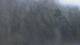 Fairview, Tennessee 08.06.2025 20:10