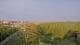 Juist 14.06.2025 20:57