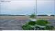 Arlington, Washington 09.07.2025 20:57