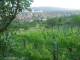 Feuerbach 14.06.2025 20:58