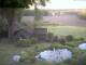 Schneverdingen 10.05.2025 20:47