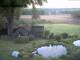 Schneverdingen 29.04.2025 20:47