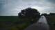 Schwinge 08.06.2025 20:59