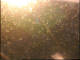 Gottinga 03.07.2025 20:47