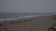 Vendays-Montalivet 29.04.2025 20:06