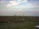 Hallig Hooge 14.06.2025 20:47