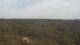 Moliets-et-Maa 30.04.2025 20:06