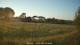 Dartmoor 12.07.2025 20:49