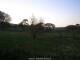 Dartmoor 29.04.2025 20:47